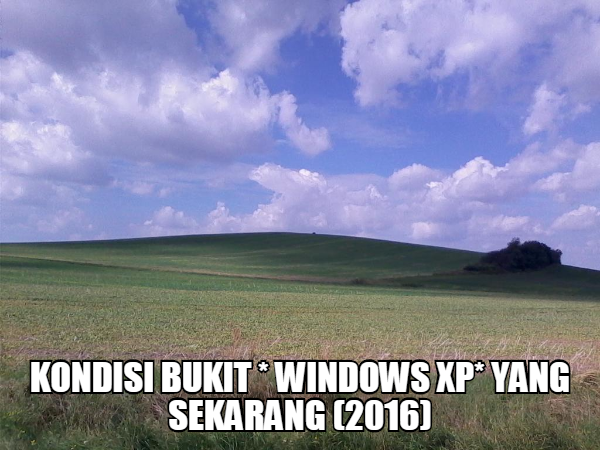 Bukit Yang Paling *ikonik*