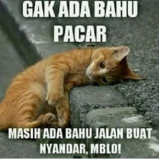 mblo......