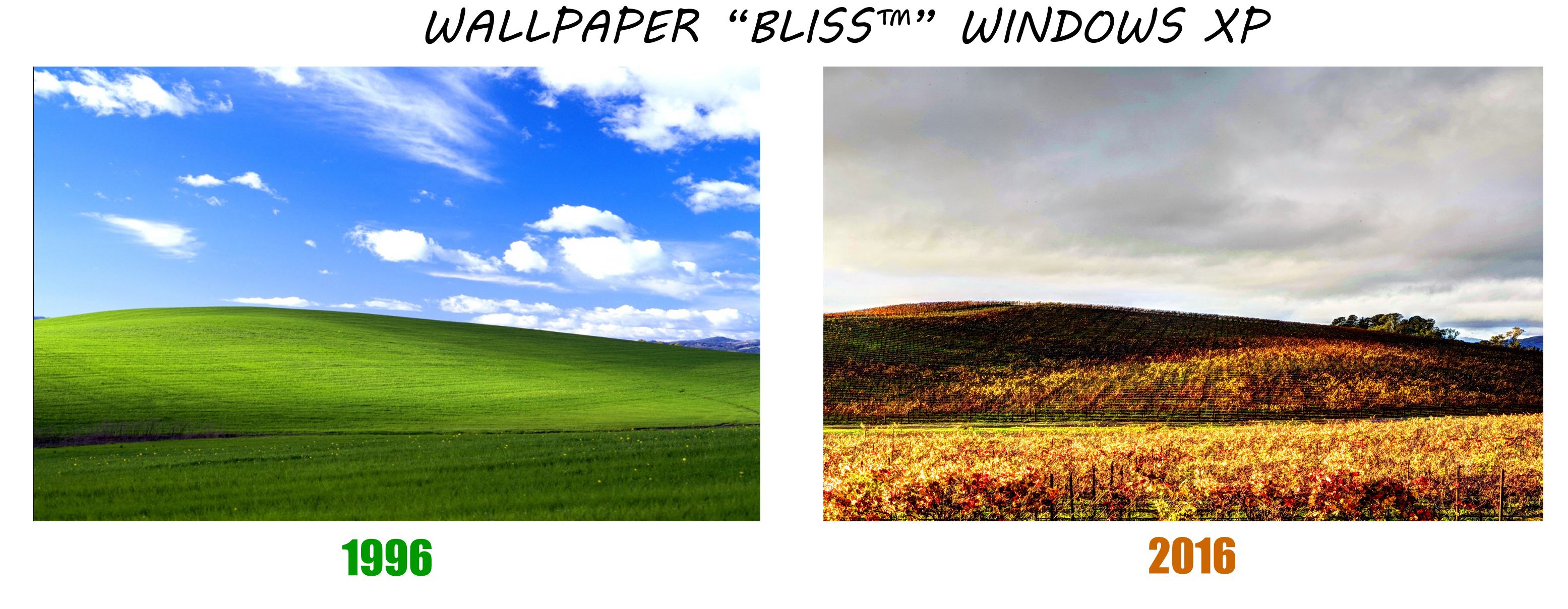 Pemandangan BLISS™ Saat Ini.