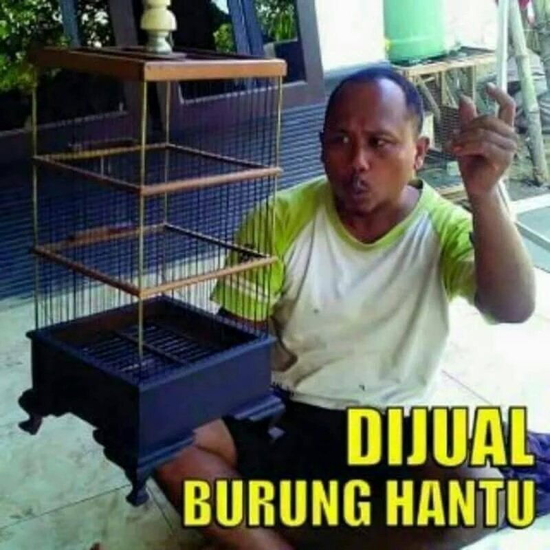 Jual burung gan