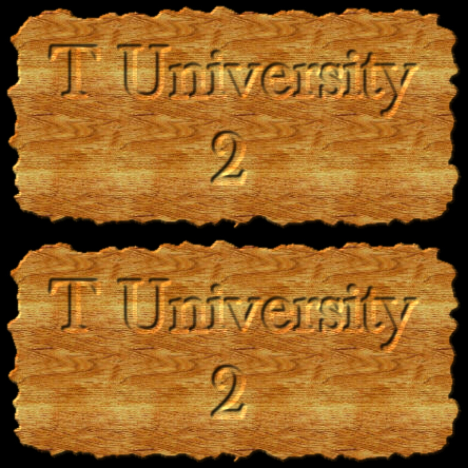 T University 2