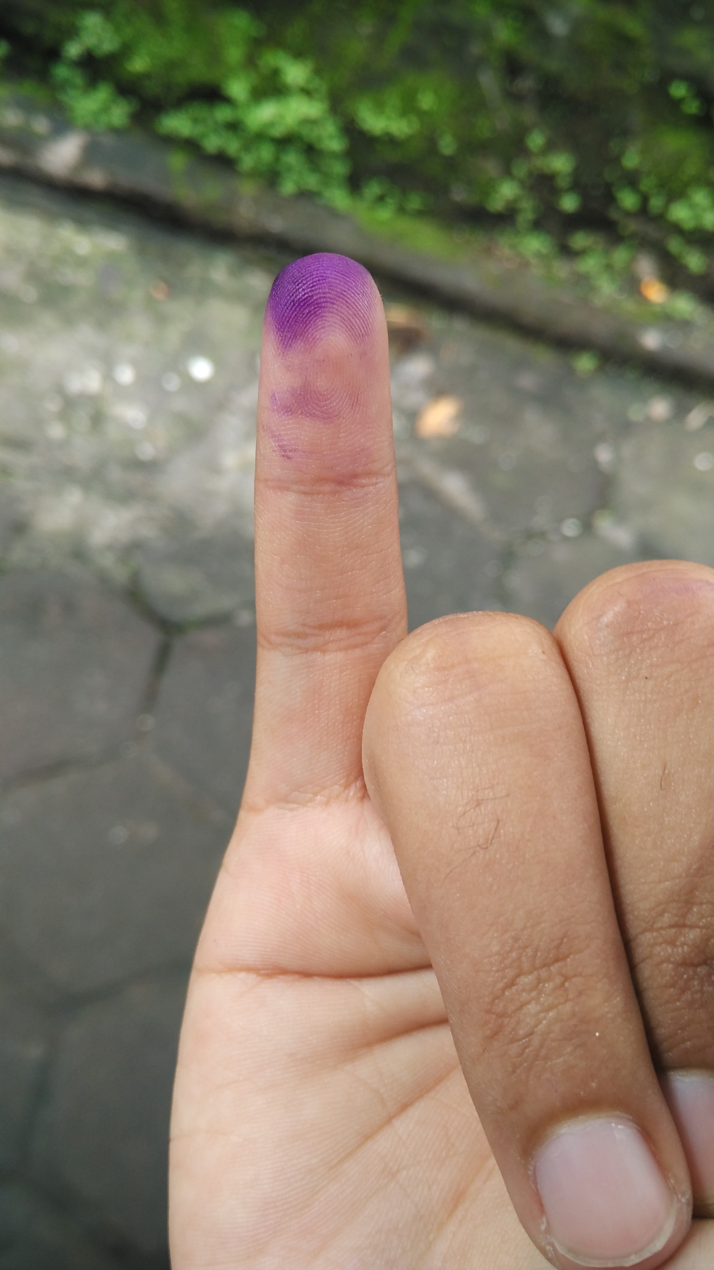 #NyoblosGan