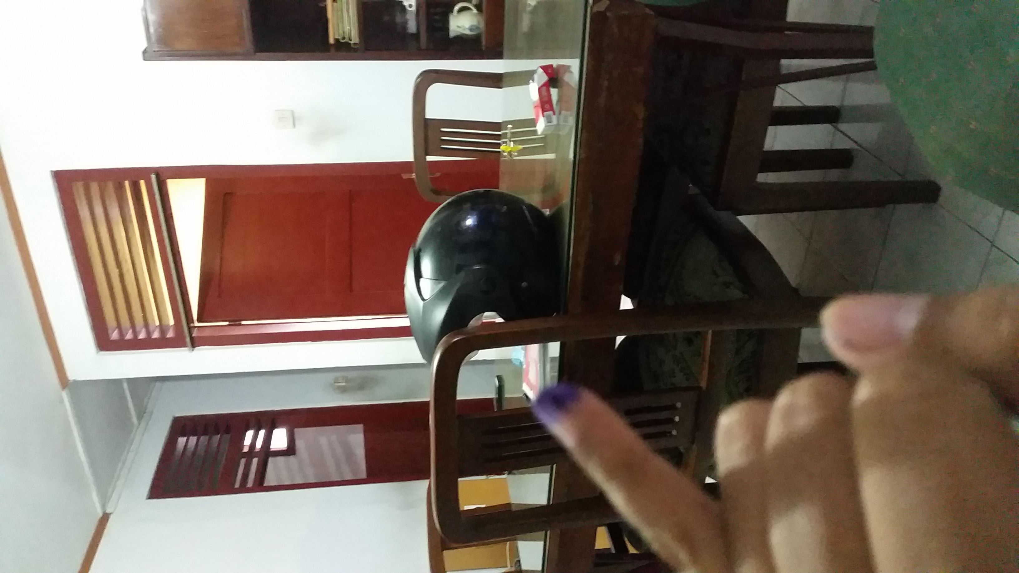 Nyoblos gan