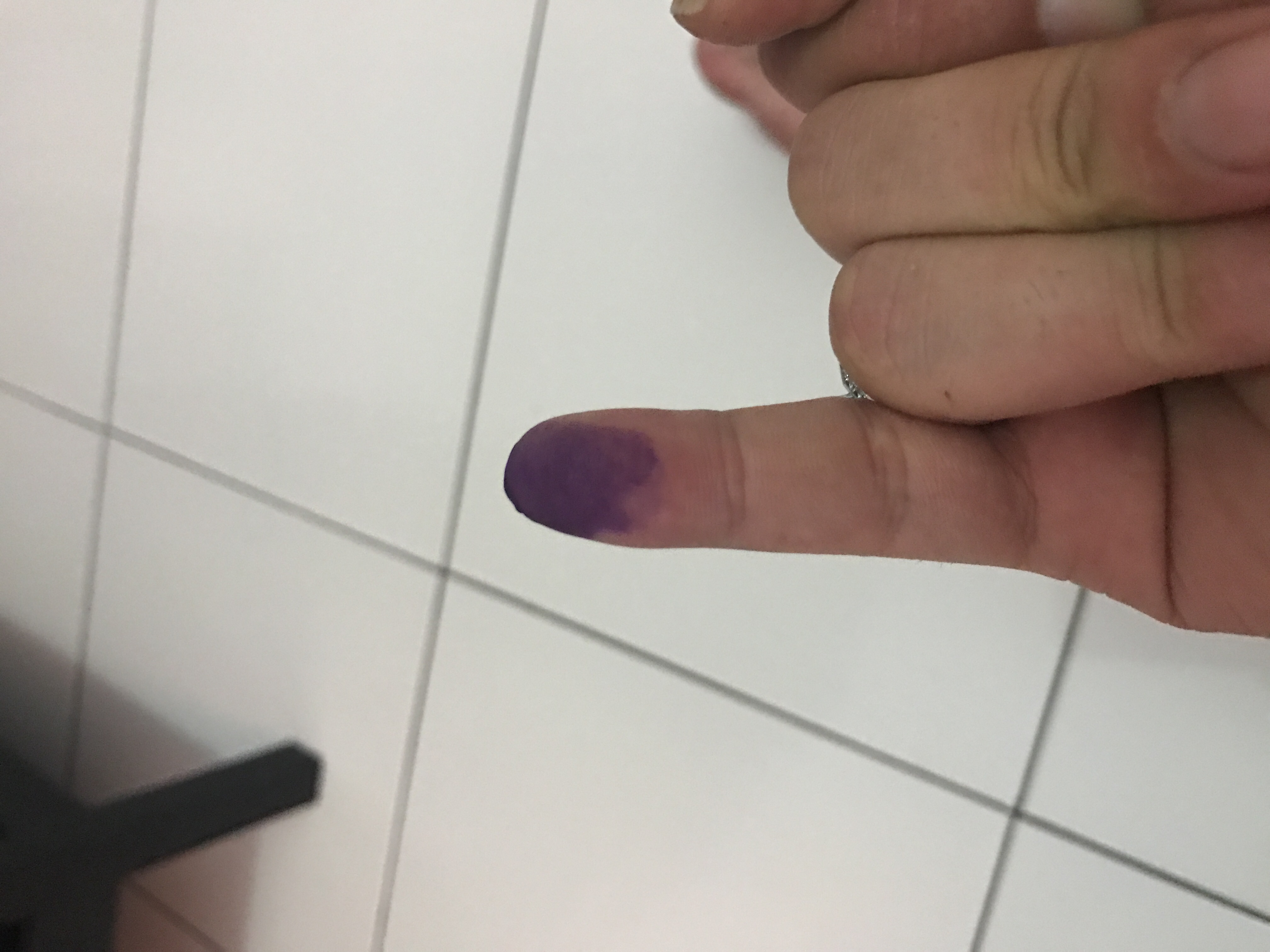 #NyoblosGan