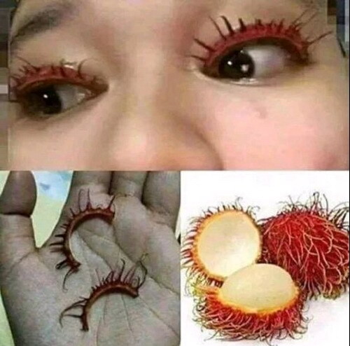 Siapa tau bisa bermanfaat buat istri2 agans (dandan gak perlu mahal)