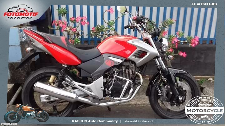 Macan Merah Merona
