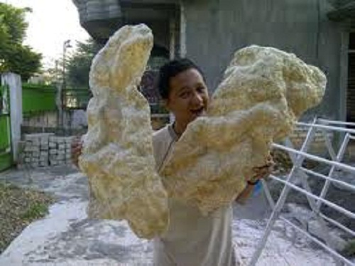 Kerupuk gede pamekasan sumenep