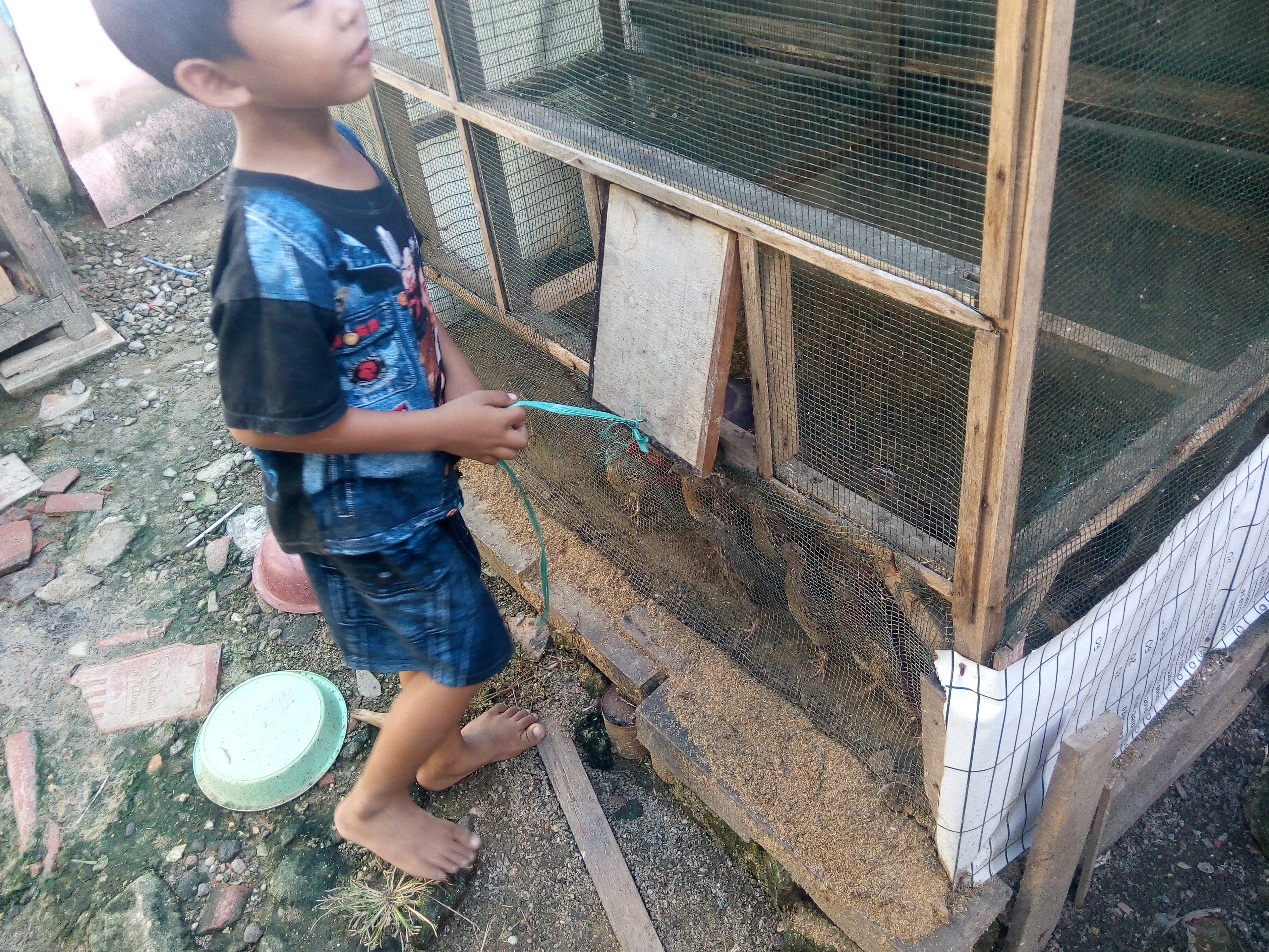ngabuburit sambil memberikan pakan burung