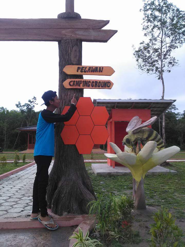 Hutan Pelawan Namang.bangka tengah