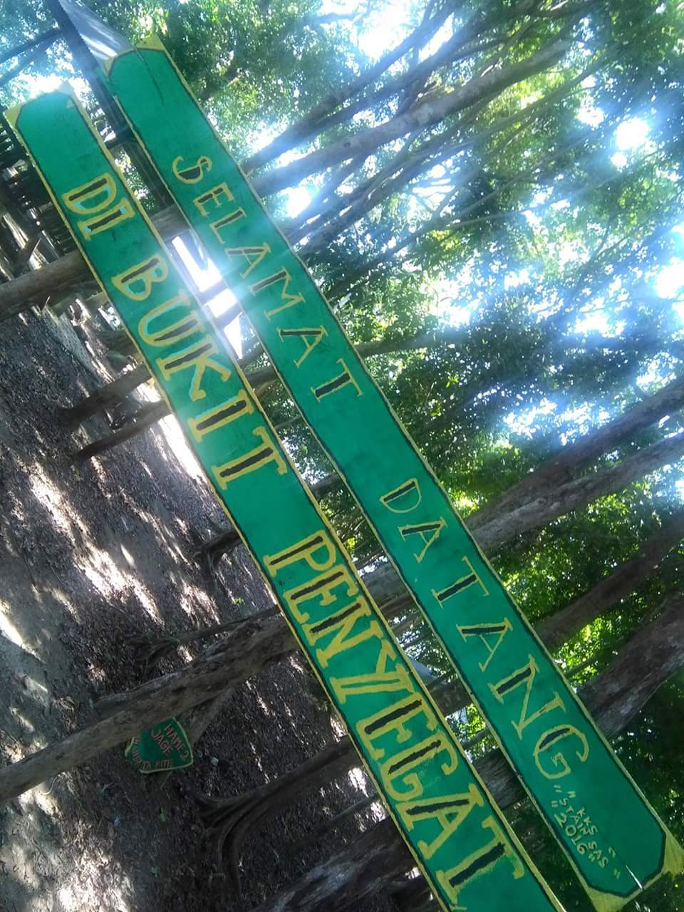 Kawasan bukit penyengat. P.lepar