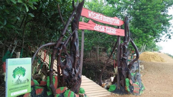 Wisata mangrove desa tukak sadai