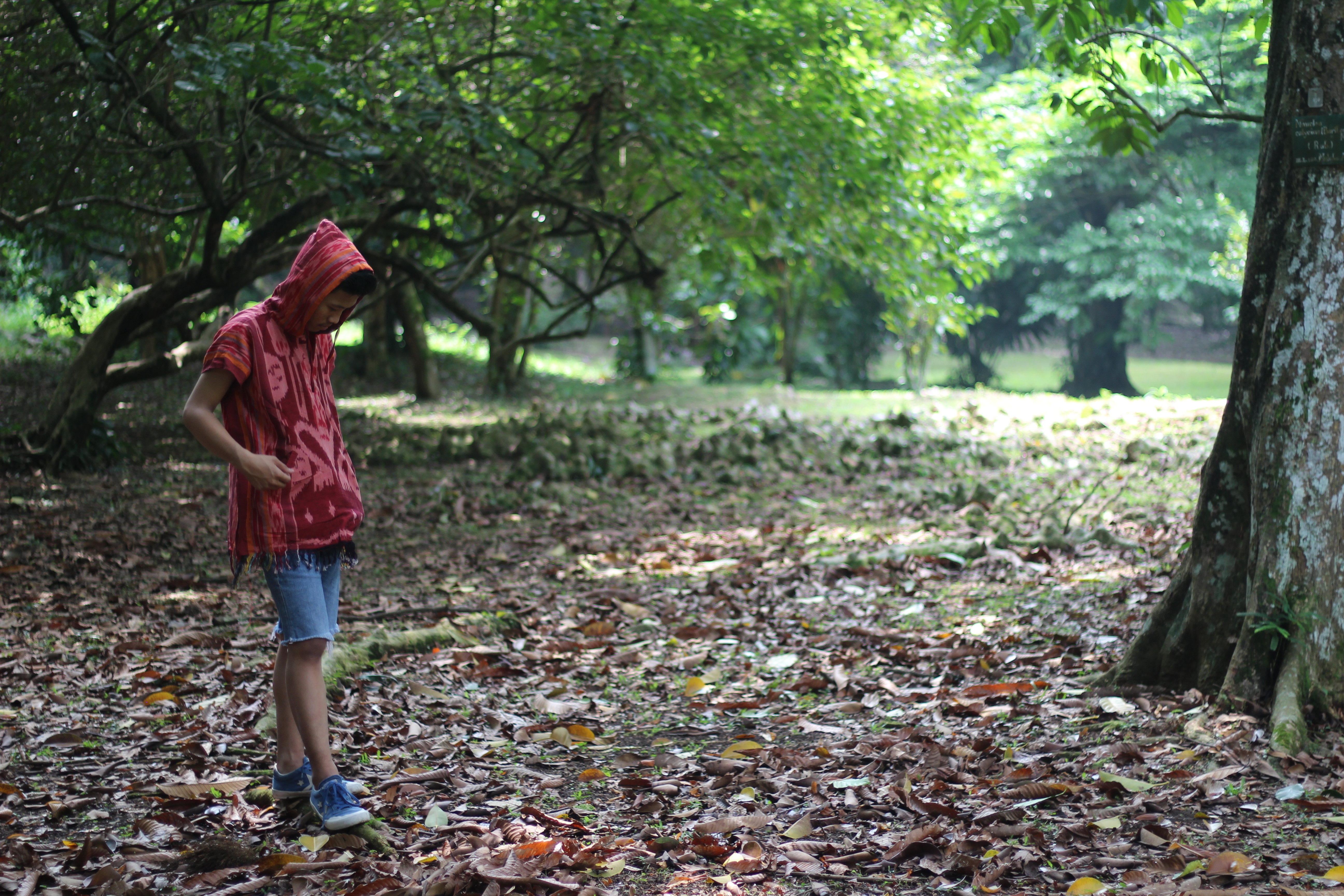 Ngabuburit keliling Kebun Raya Bogor
