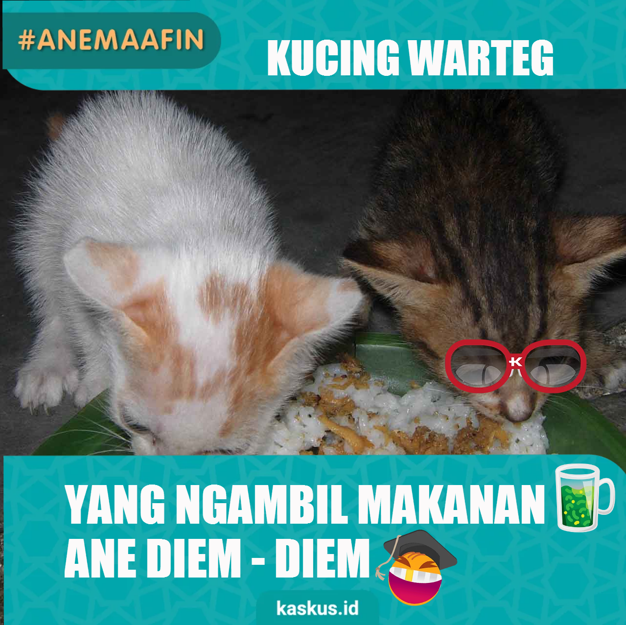 AneMaafin Kucing Warteg KASKUS