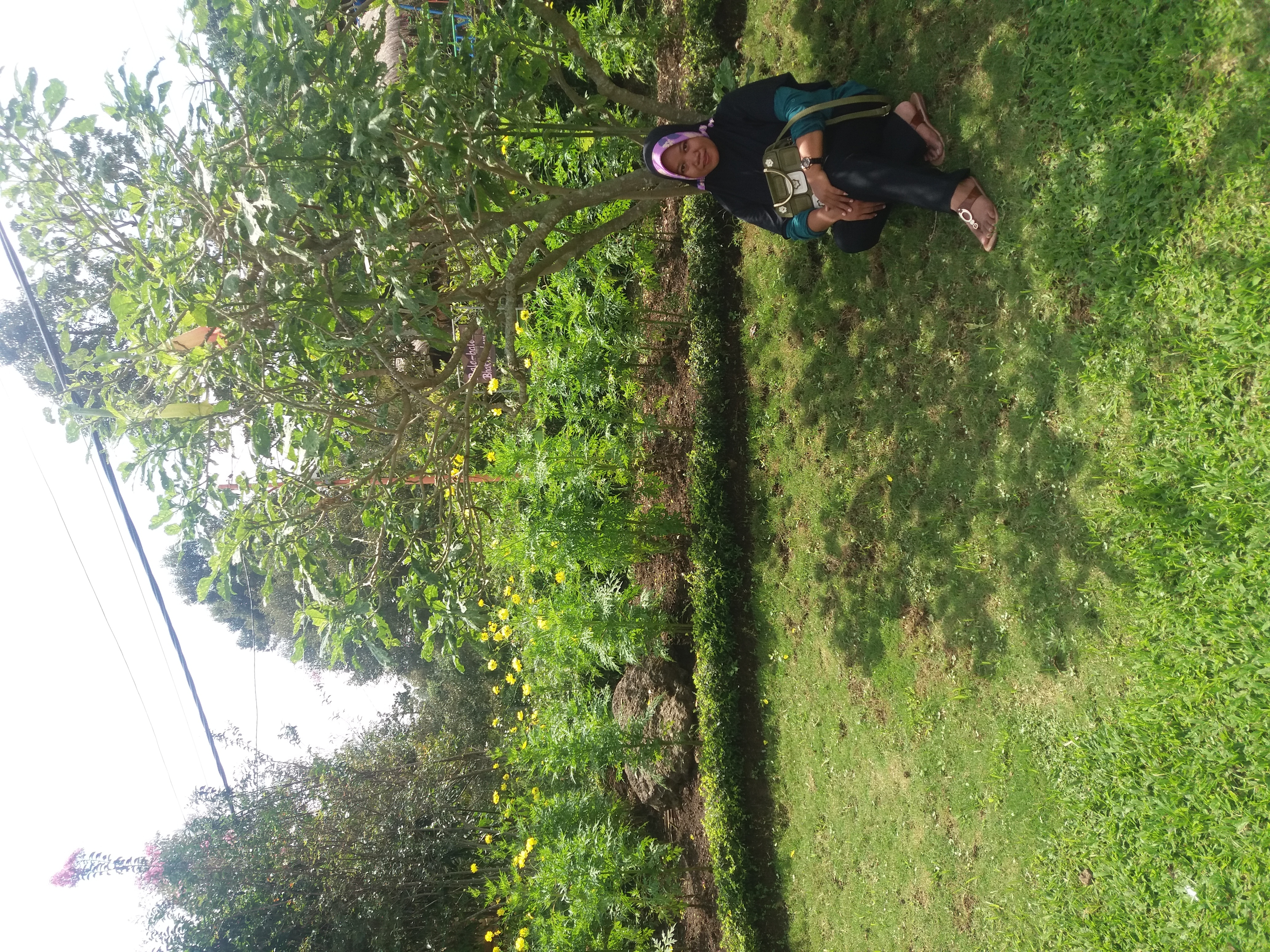 wisata taman bungan sampang