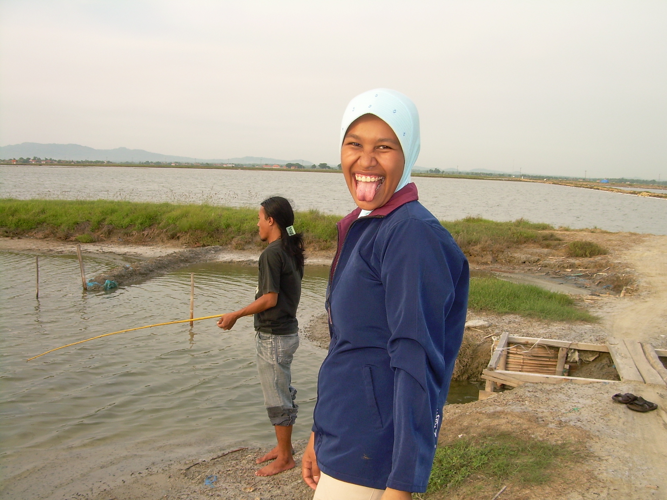 pulau garam