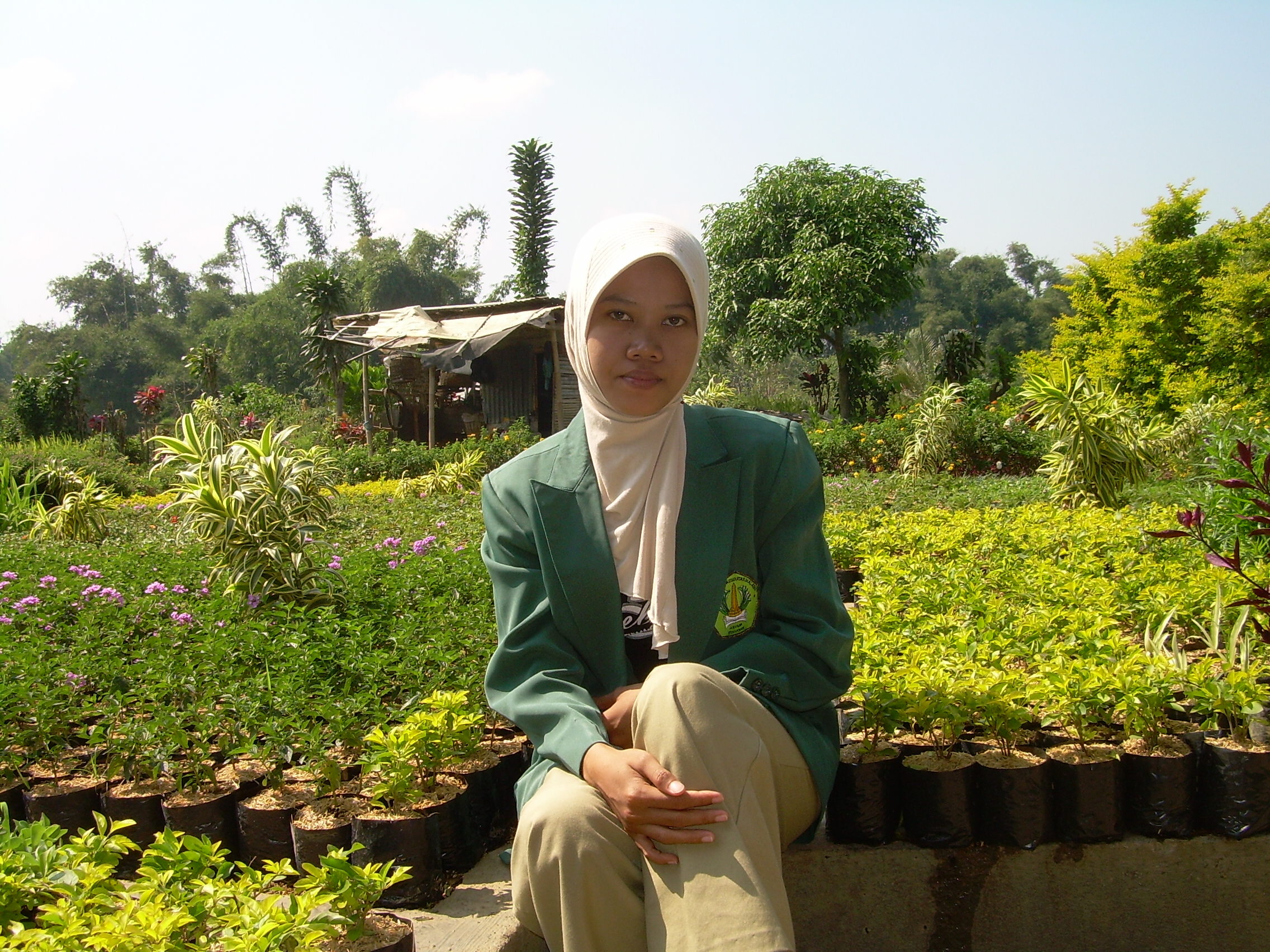 taman bunga
