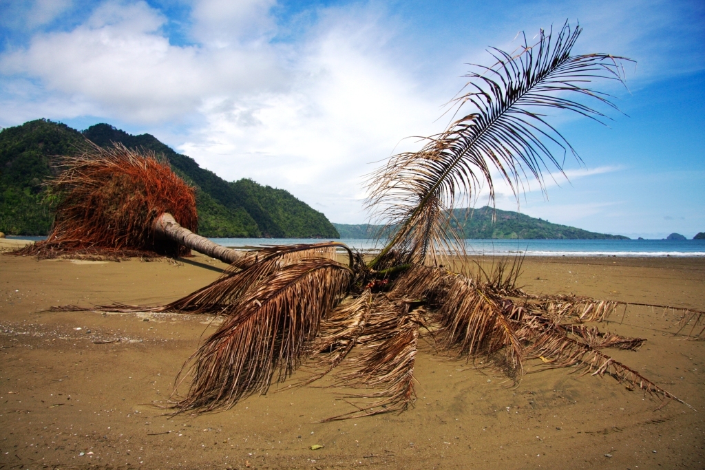 Sisi lain pantai karanggongso