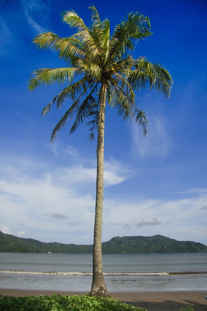 Sisi lain pantai karanggongso