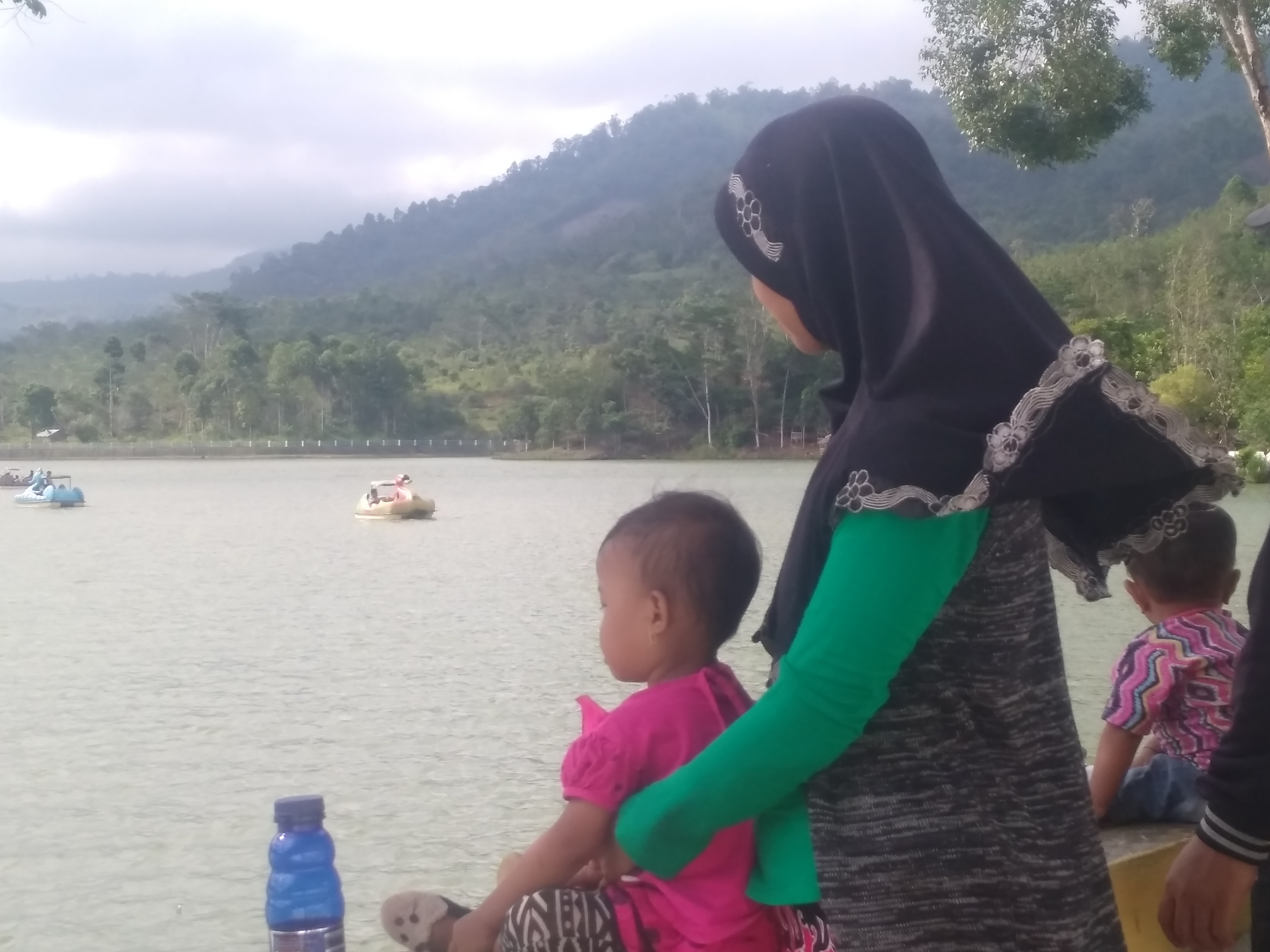 Danau Picung Lebong Atas