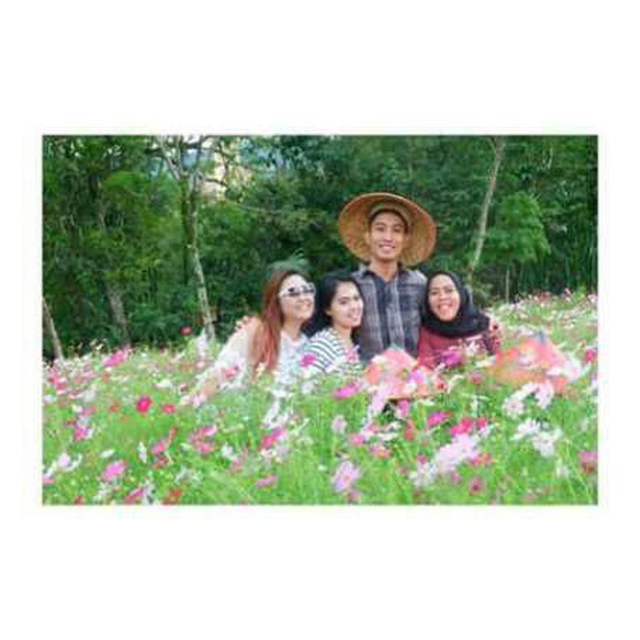 Taman Bunga , Curup , Bengkulu