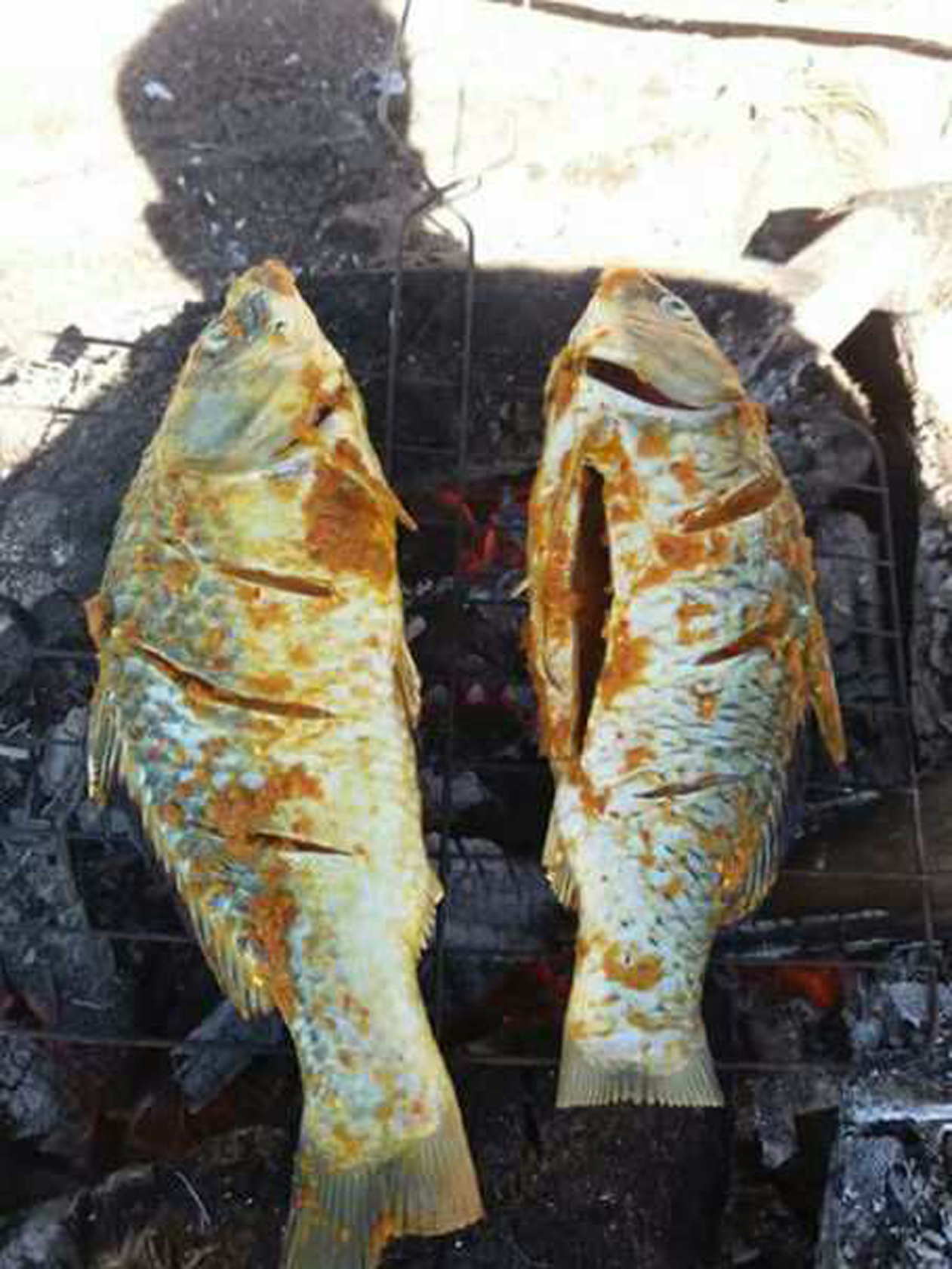 Ikan Bakar Sederhana