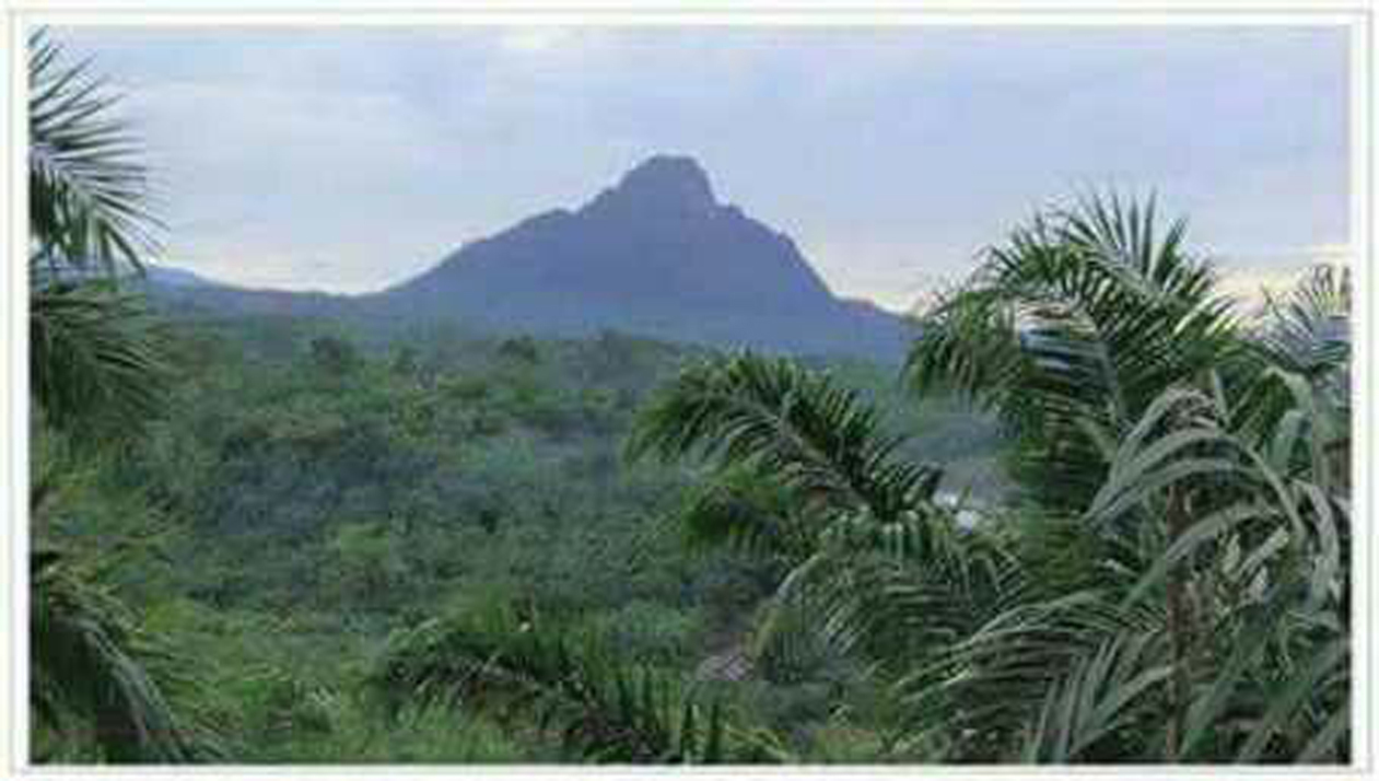 Gunung Bungkuk , Bengkulu Tengah