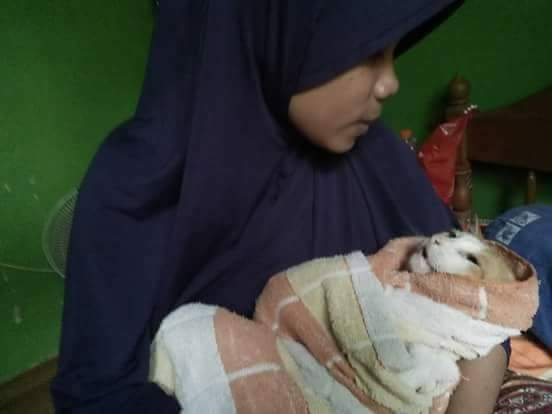 Beranak mirip kucing karena membunuh kucing sewaktu hamil