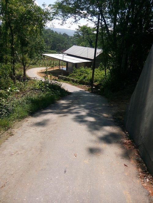 &#91;Mudik Di Hari Lebaran&#93; suasana jalan menuju rumah pelan pelan