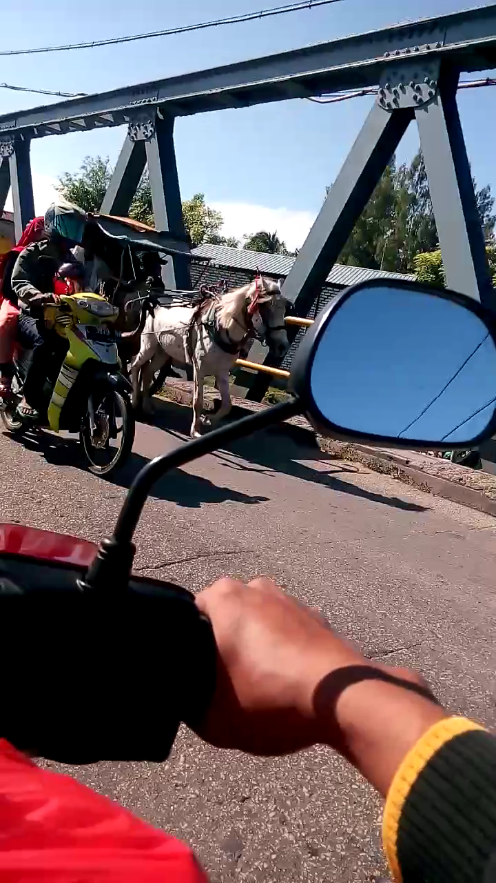 &#91;Mudik Di Hari Lebaran&#93; Ketemu ma dokar (delman)