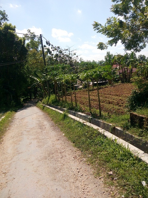 &#91;Mudik Di Hari Lebaran&#93; kelihatan lurus tapi
