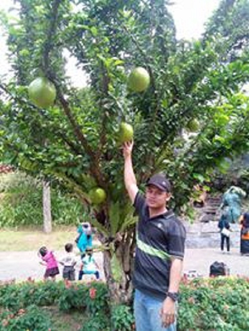 refresing