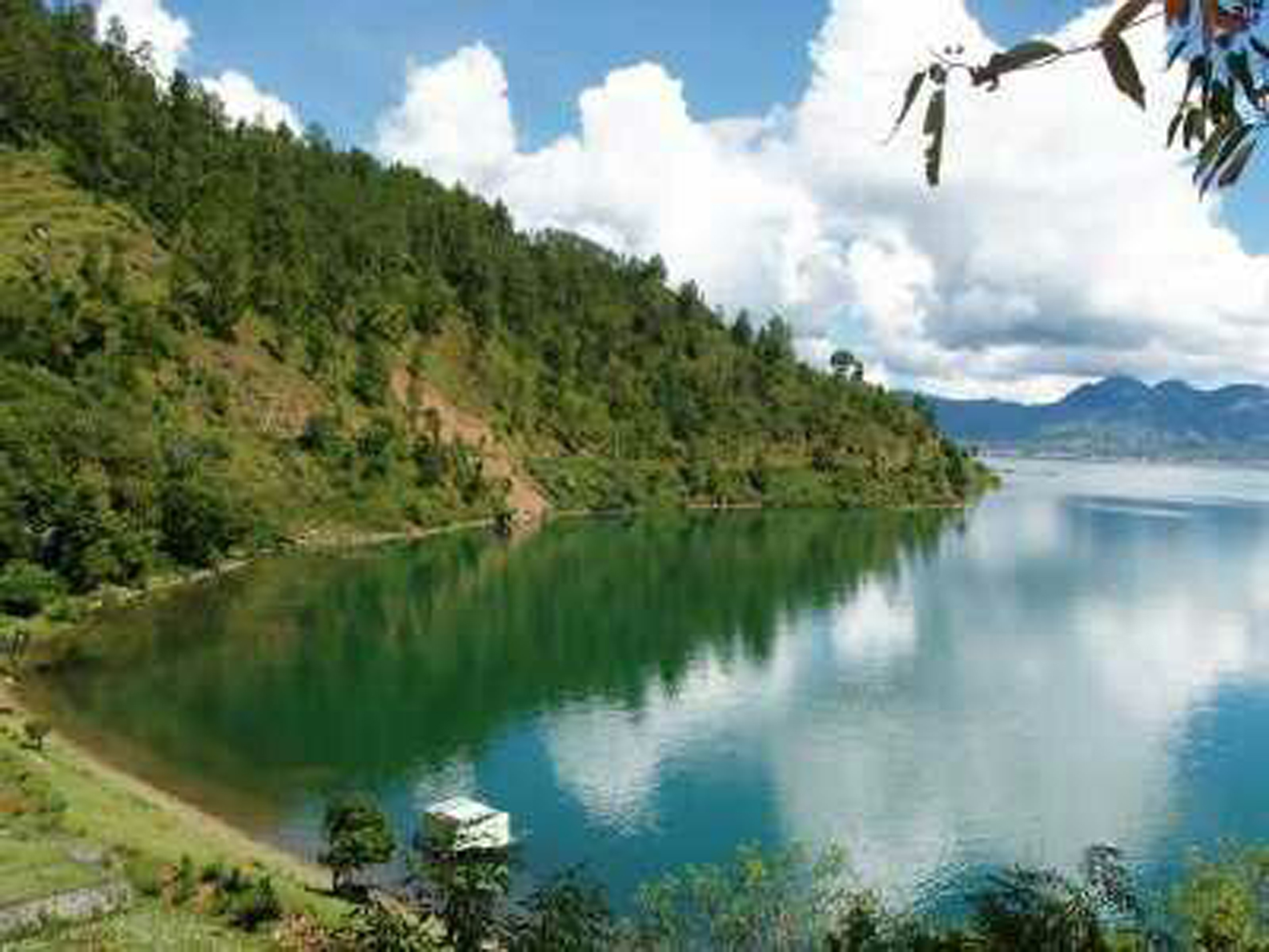 Danau Picung di Pagi Hari