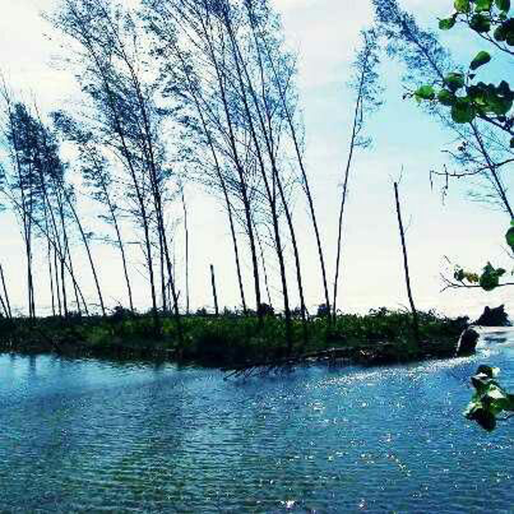 Pantai Seluma dikala sore
