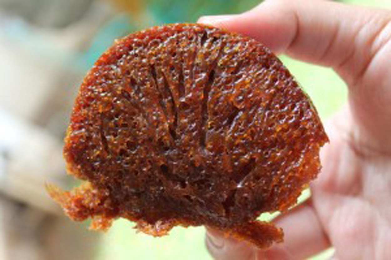 Bolu Karamel