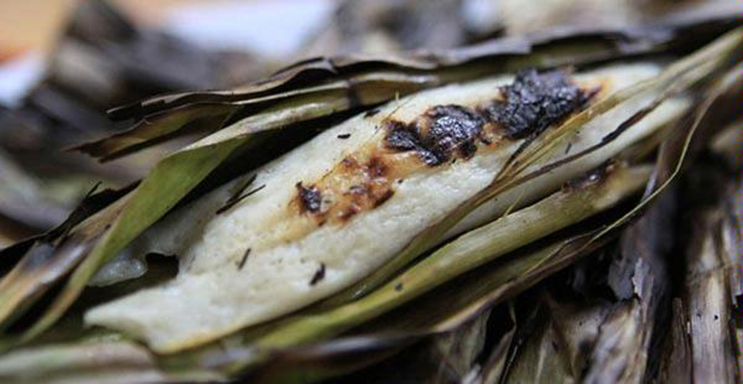 Otak otak bakar