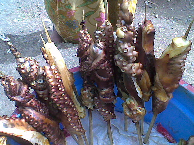 Sate Gurita