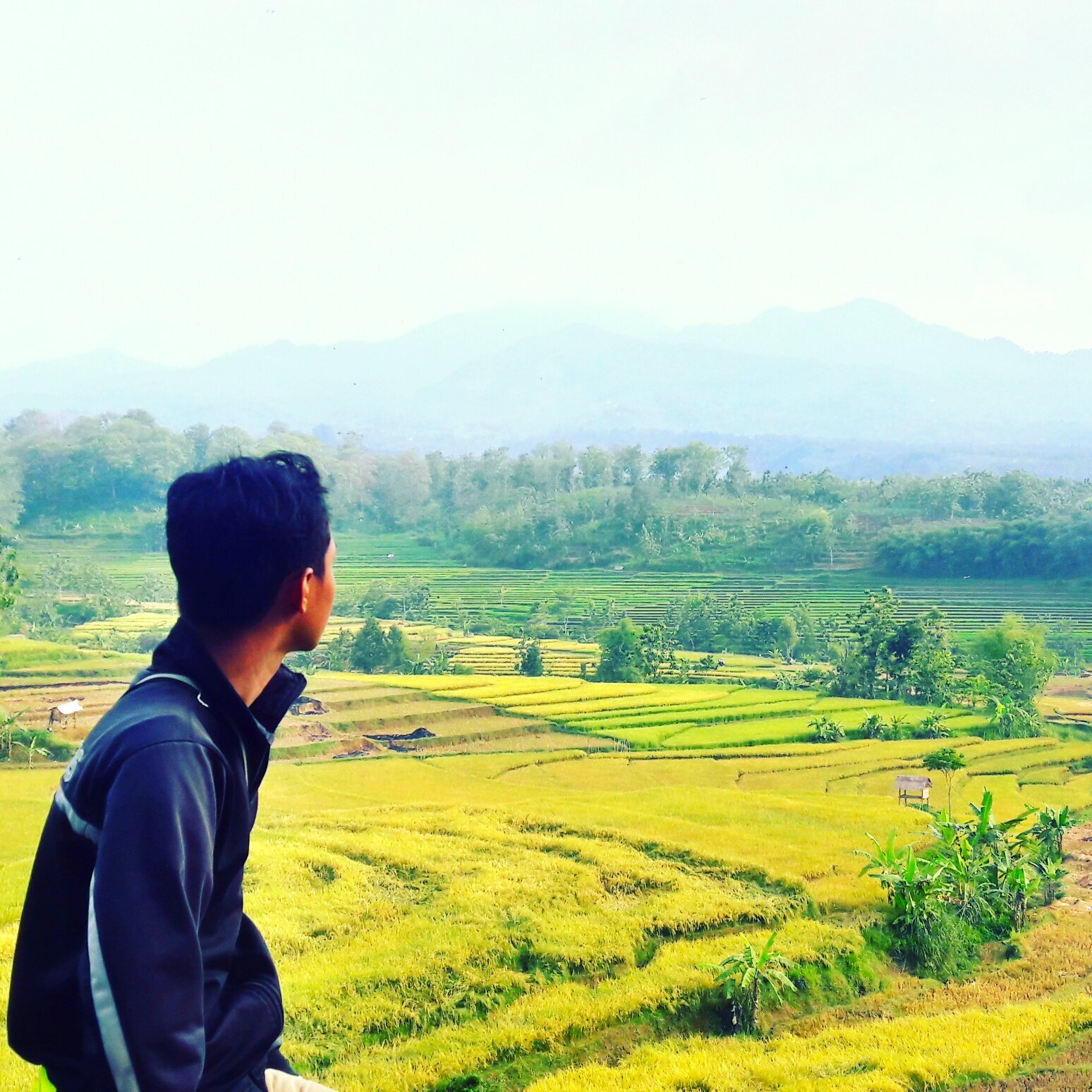 Menikmati suasana