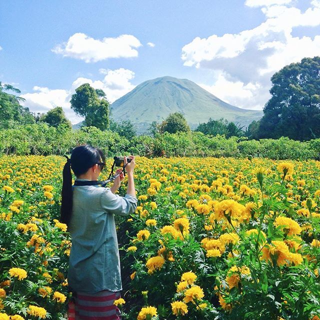 mari jo ka kota bunga Tomohon