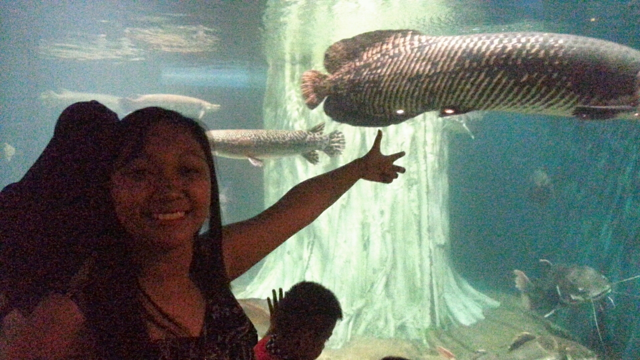 Big fish
