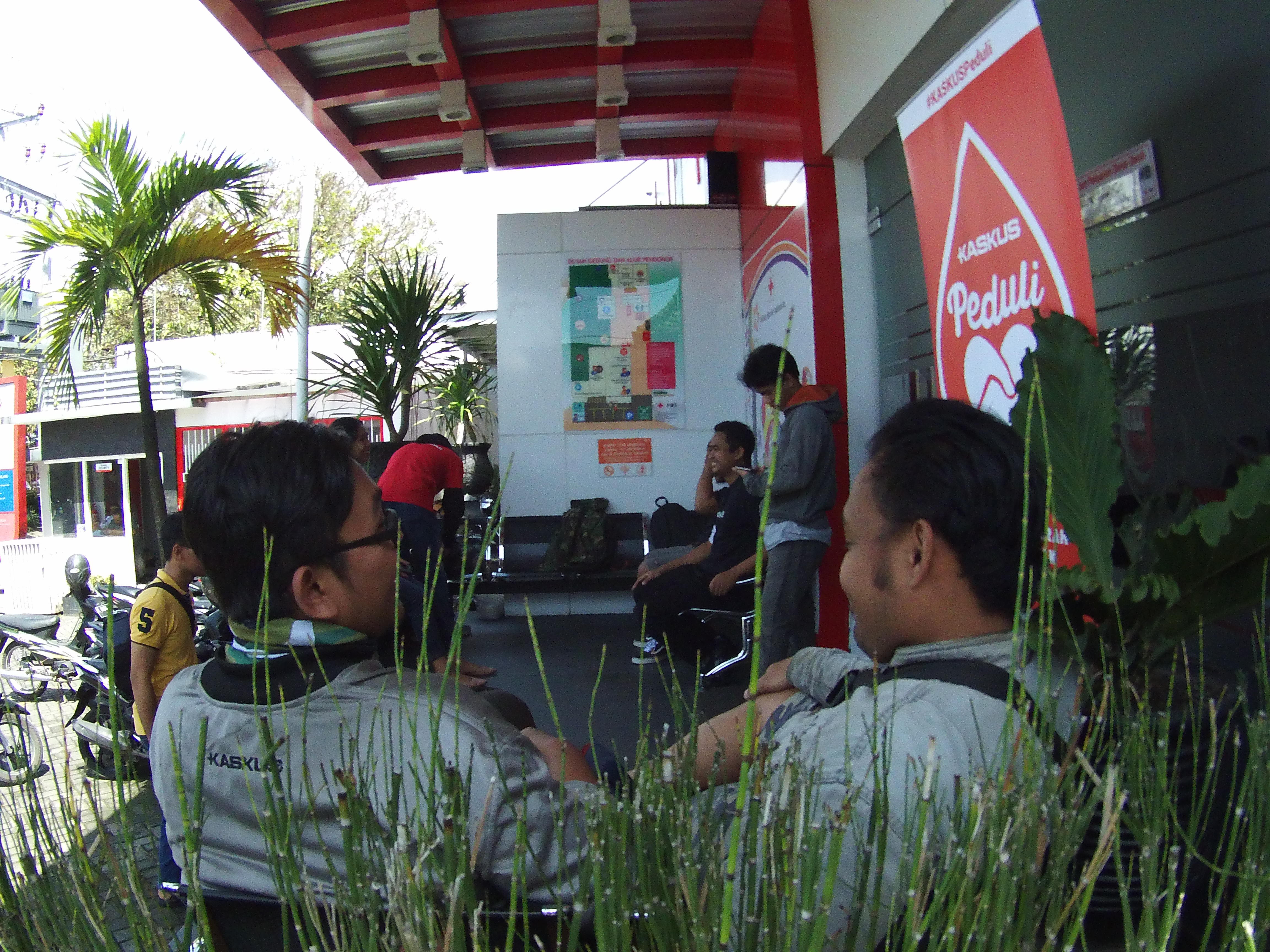 cie cia lagi ngapain mereka