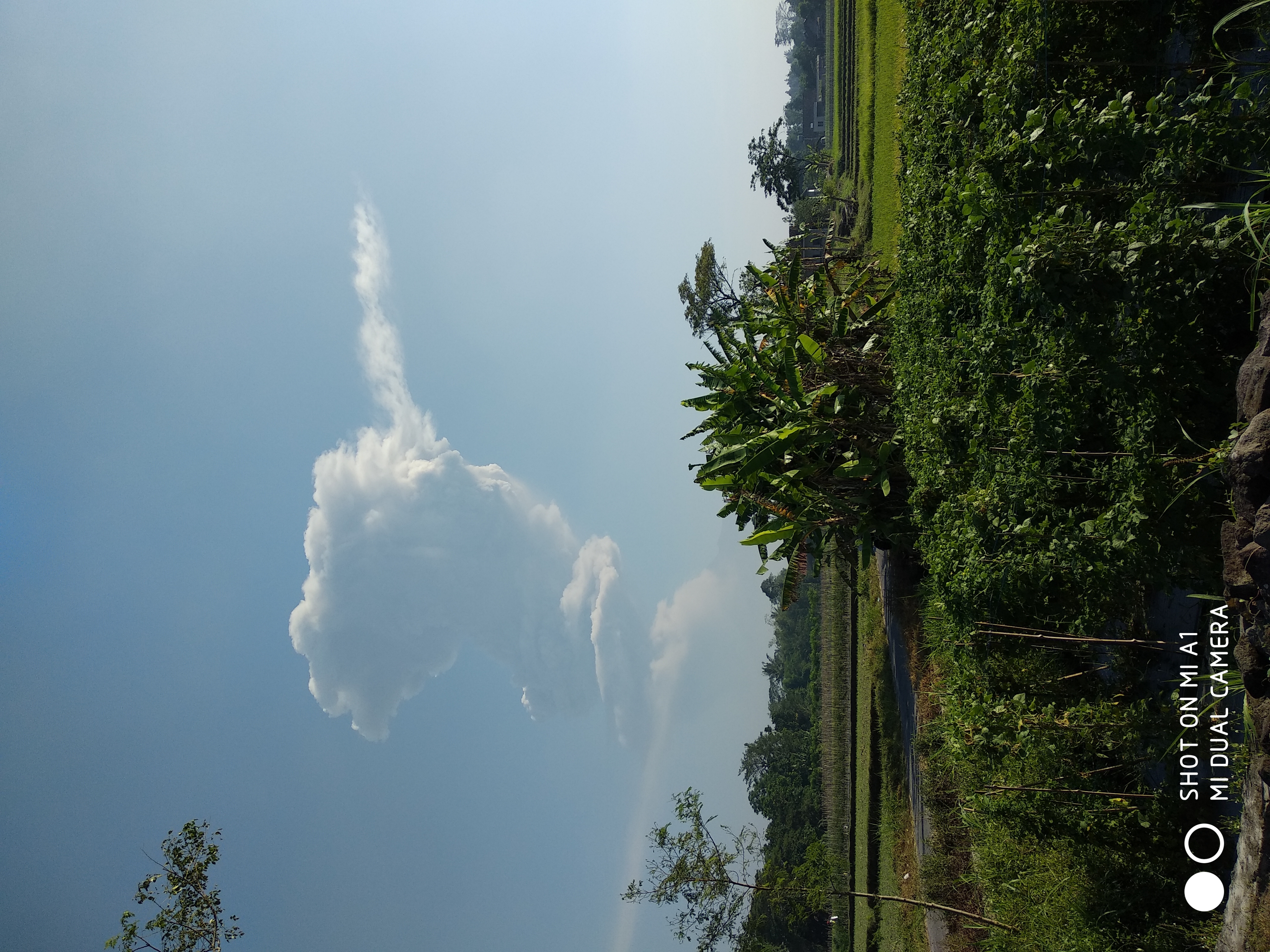 gn.merapi yogyakarta