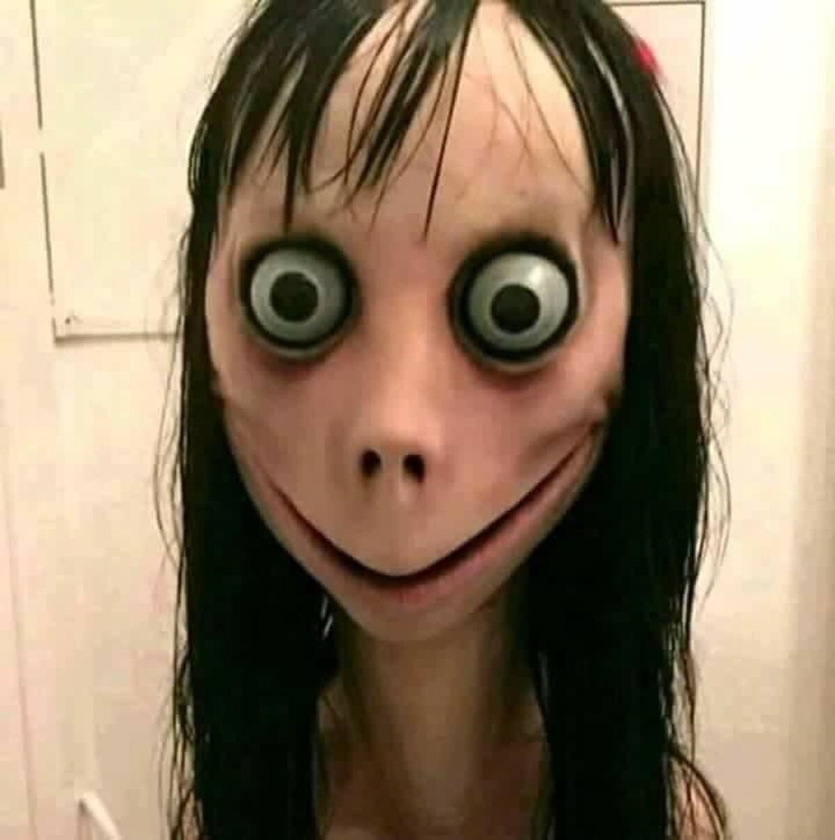Momo ❤