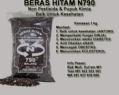 Manfaat Beras Hitam untuk Kesehatan