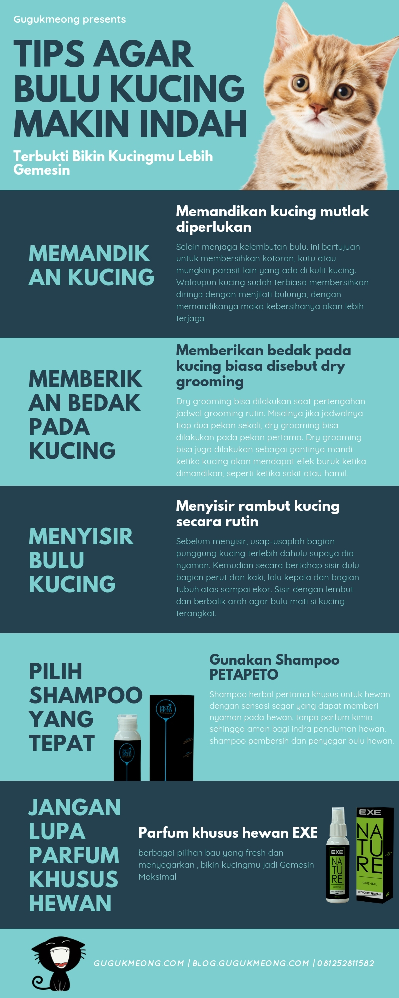 Trik Rahasia, Bikin Bulu Kucingmu Gemesin