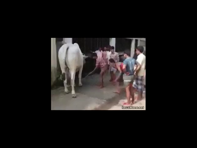 thumb-video