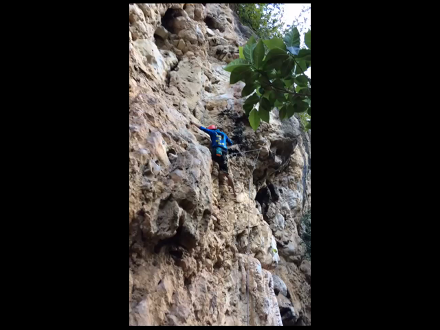 thumb-video