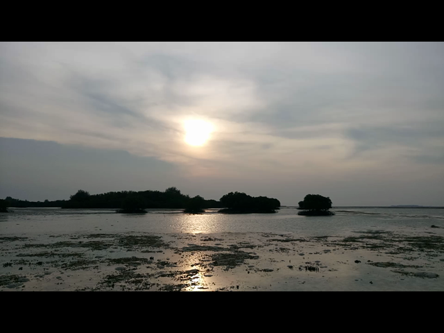 thumb-video