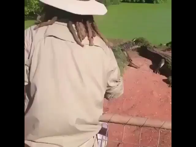 thumb-video
