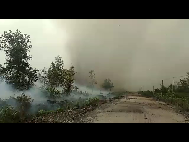 KABUT ASAP 2019: Fakta Mencengangkan Karhutla Kalteng!