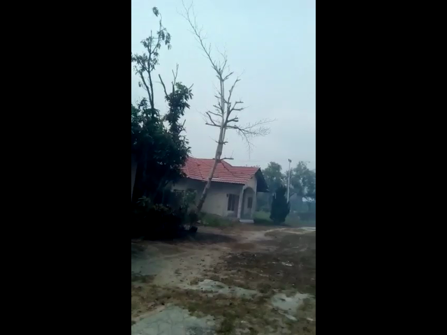 KABUT ASAP 2019: Fakta Mencengangkan Karhutla Kalteng!
